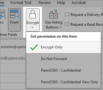 Encryption options with Encrypt Only selected